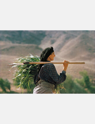 عکس شماره 4 از مجموعه زنان اثر نصرالله کسراییان